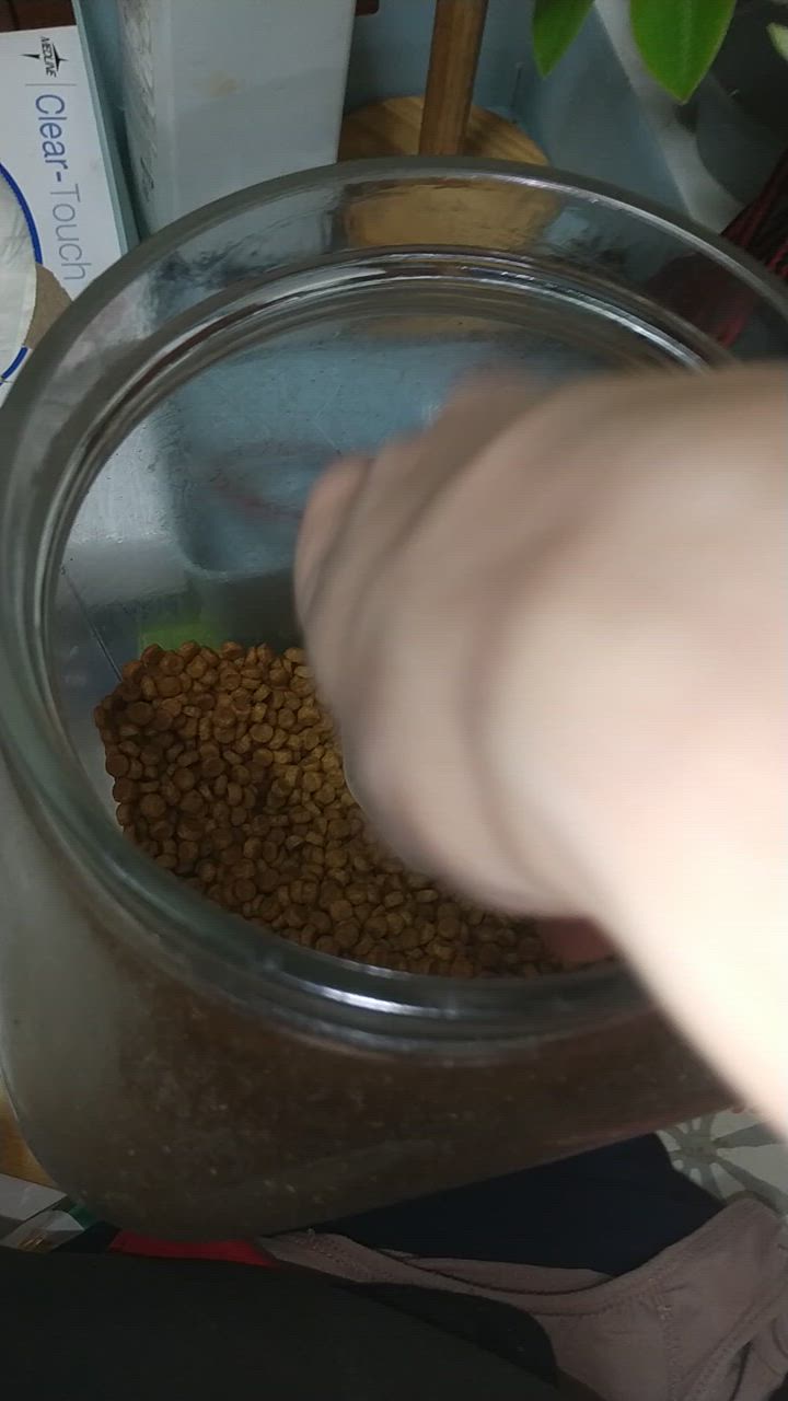 全体のレビュー動画のサムネイル | 1