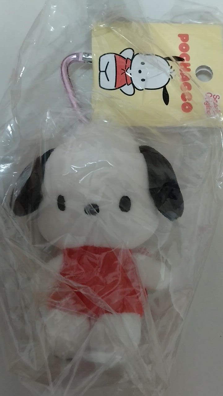 専用ページです ポチャッコ ミニマスコットホルダー 305863 サンリオ Sanrio