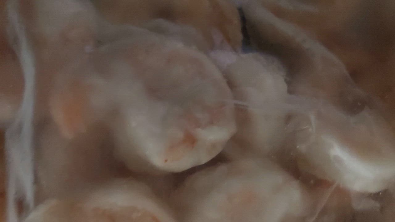 全体のレビュー動画のサムネイル | 0