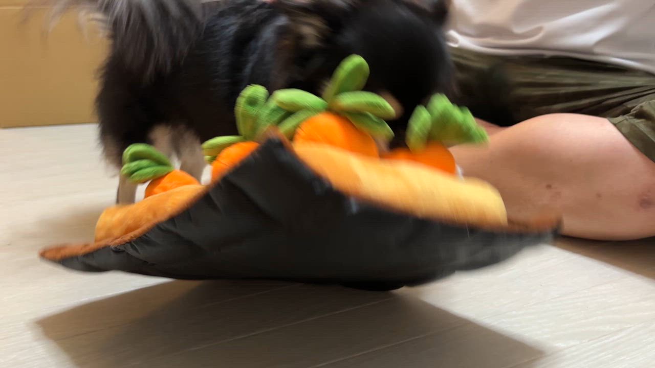 全体のレビュー動画のサムネイル | 3