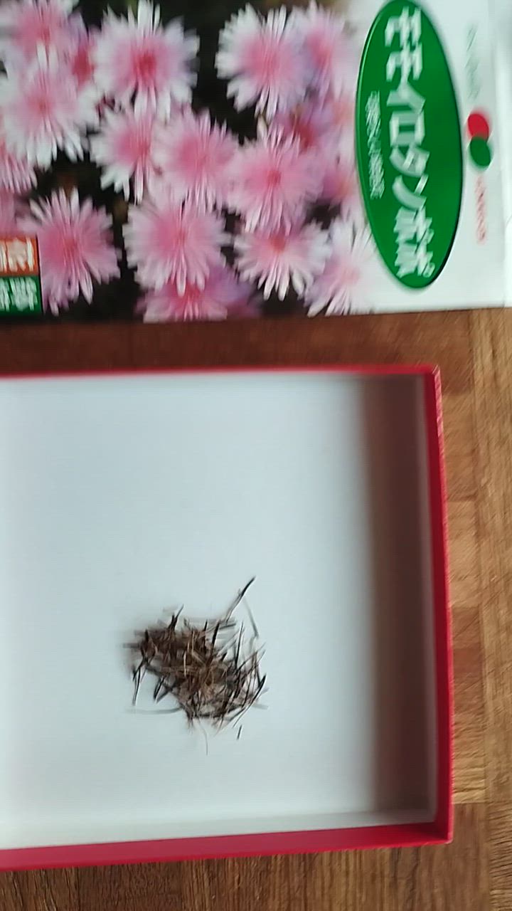 全体のレビュー動画のサムネイル | 1