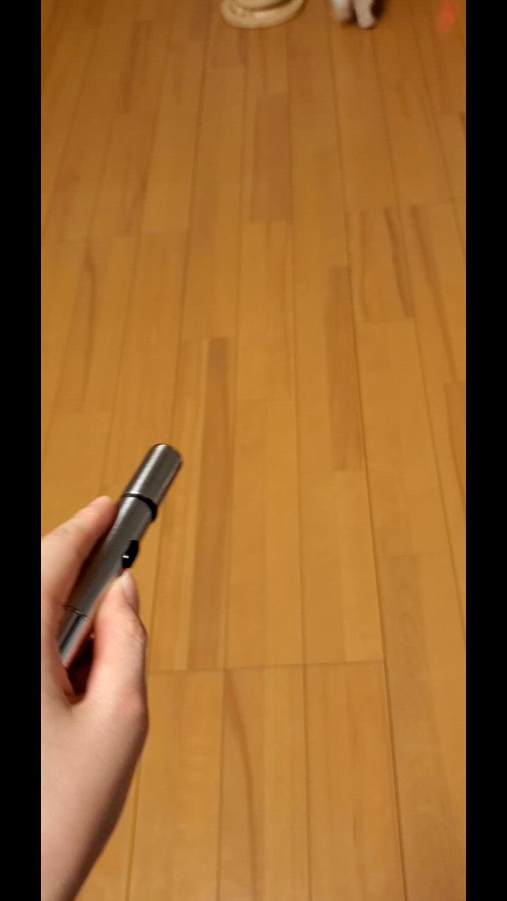 全体のレビュー動画のサムネイル | 4