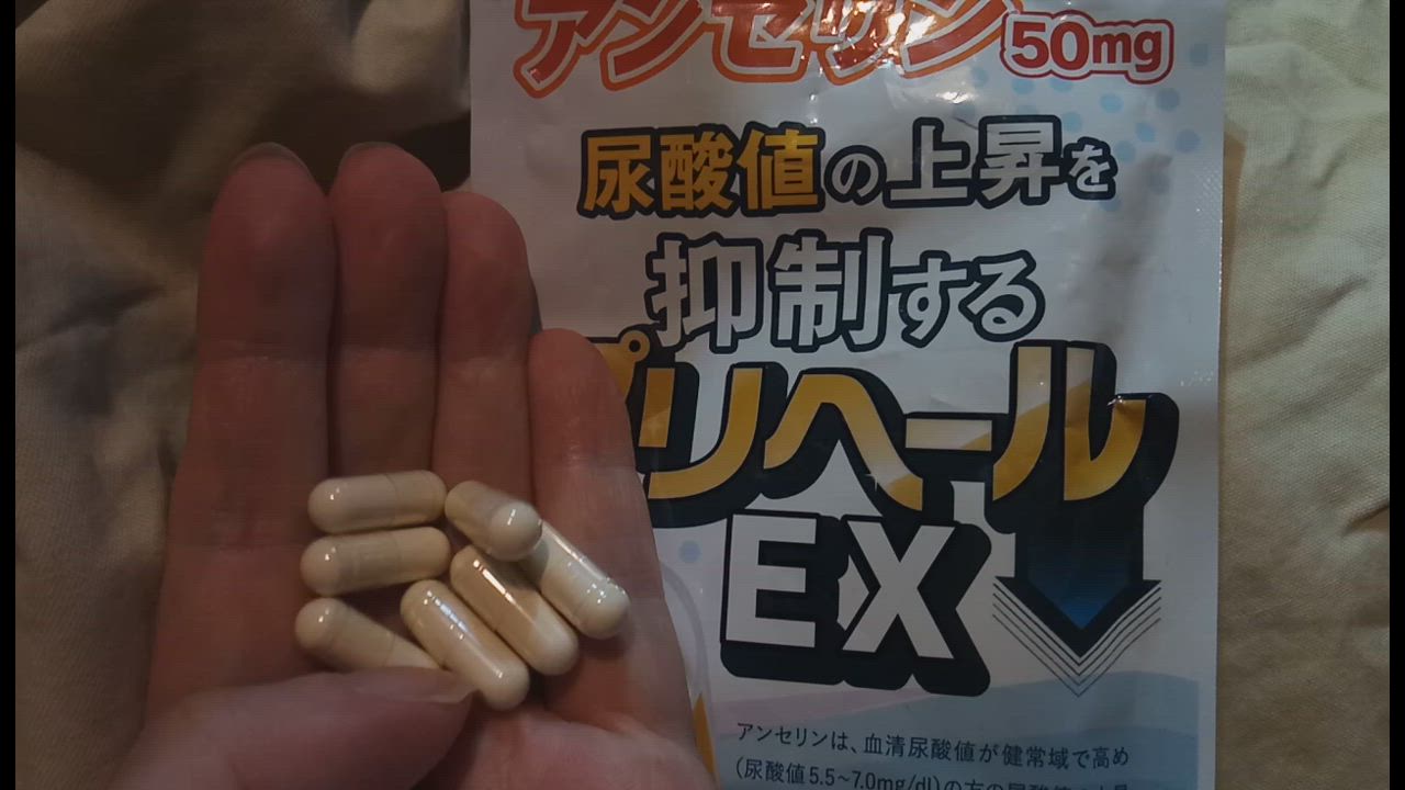 和漢の森 尿酸値 下げる アンセリン 痛風 プリン体 無添加 田七
