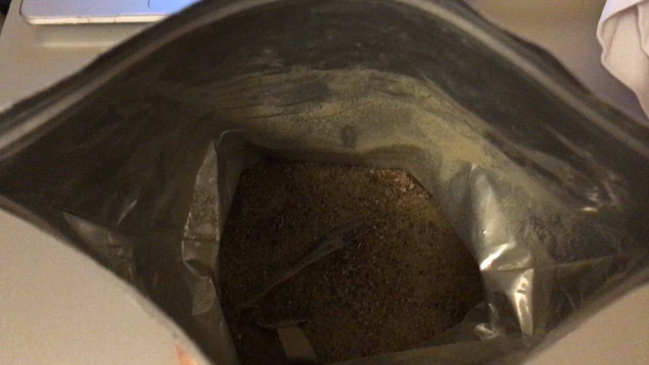全体のレビュー動画のサムネイル | 1
