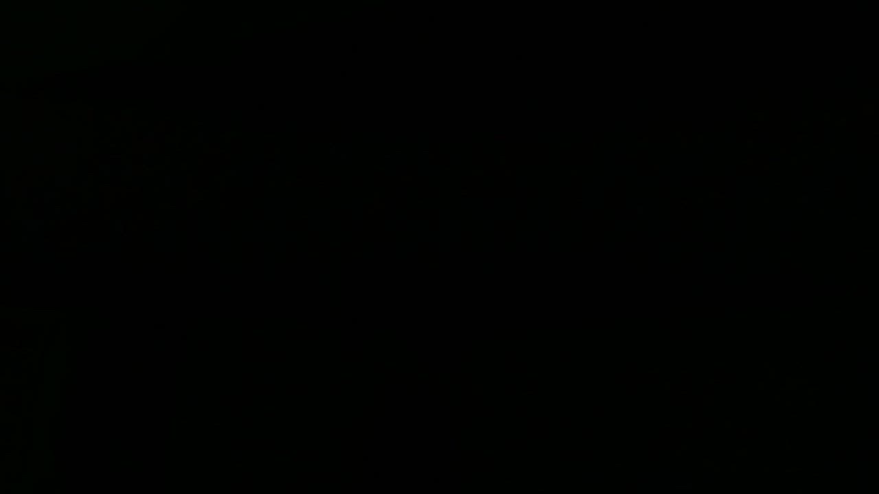全体のレビュー動画のサムネイル | 4