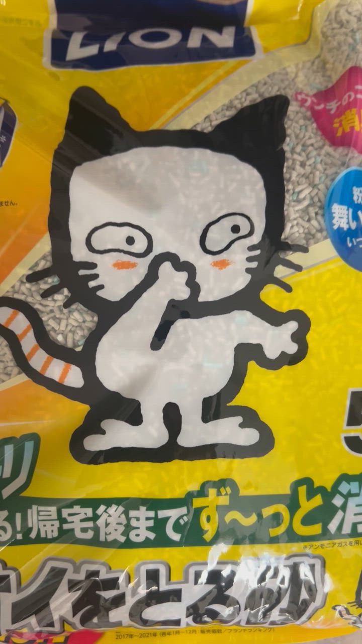 全体のレビュー動画のサムネイル | 17