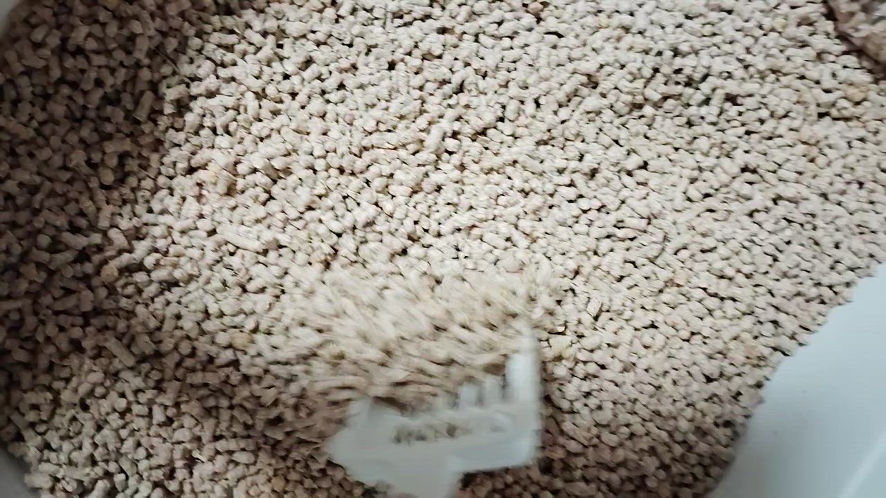 全体のレビュー動画のサムネイル | 12