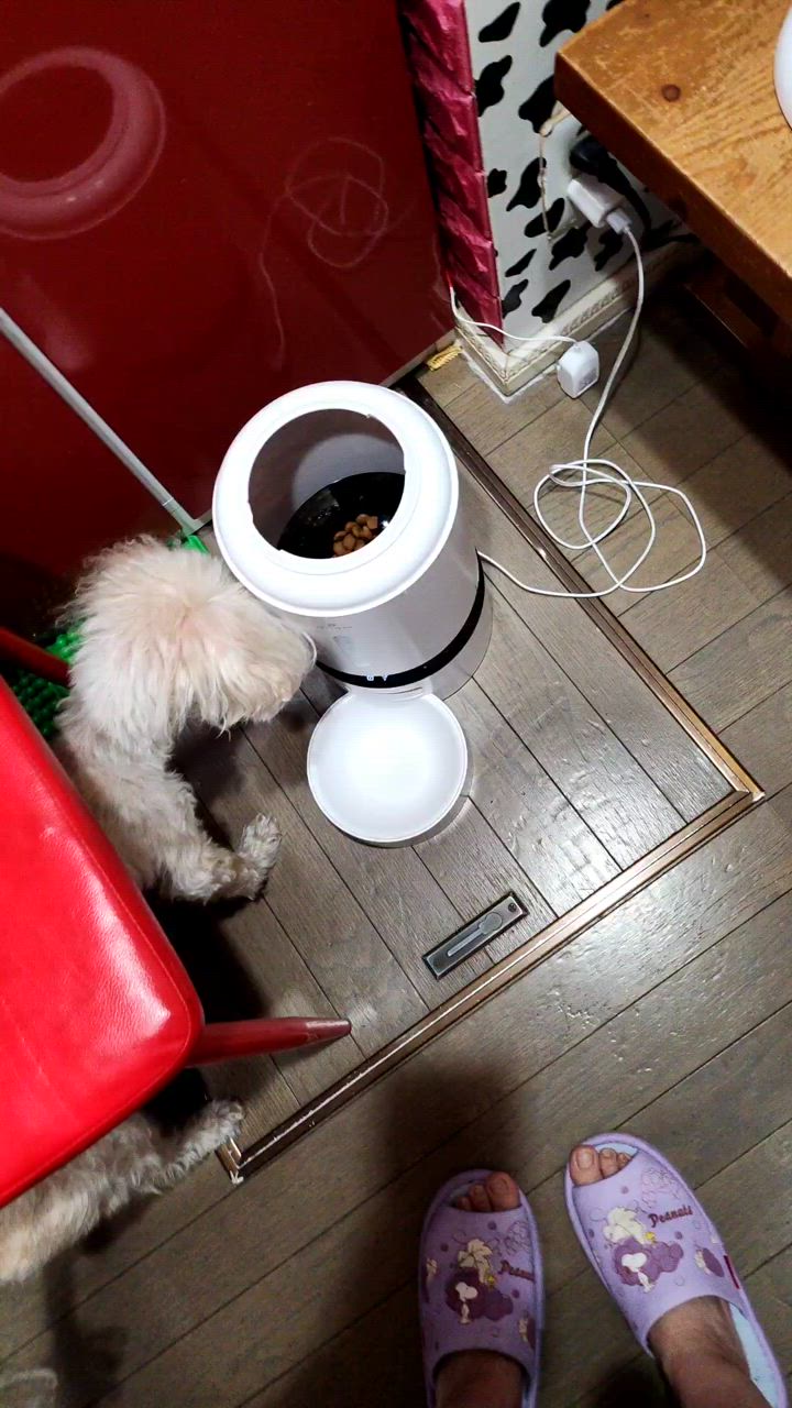  CANIN 糖コントロール 3kg ROYAL CANIN 糖コントロール 3kg