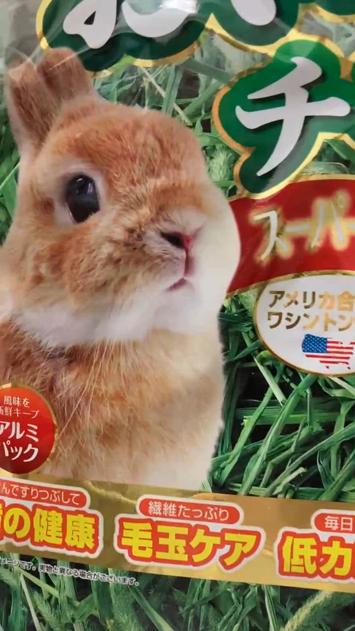 GEX GEX 毎日食べるおいしいチモシー 650g うさぎ 小動物 GEX GEX 毎日食べるおいしいチモシー 650g うさぎ 小動物