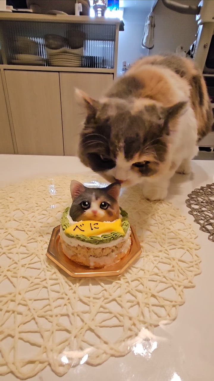 猫 誕生日 ケーキ ささみ オーダー うちの子 3号 4号 5号