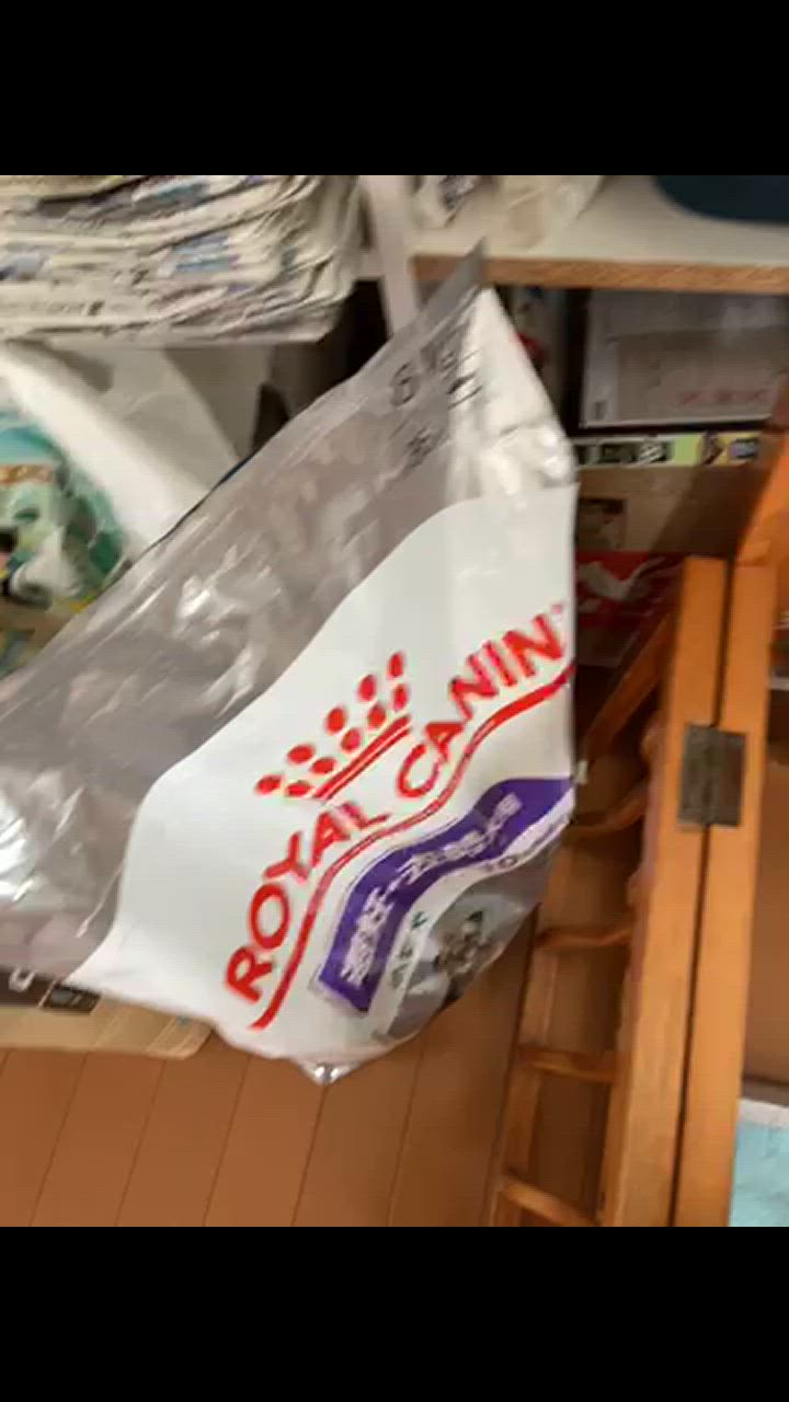 全体のレビュー動画のサムネイル | 0