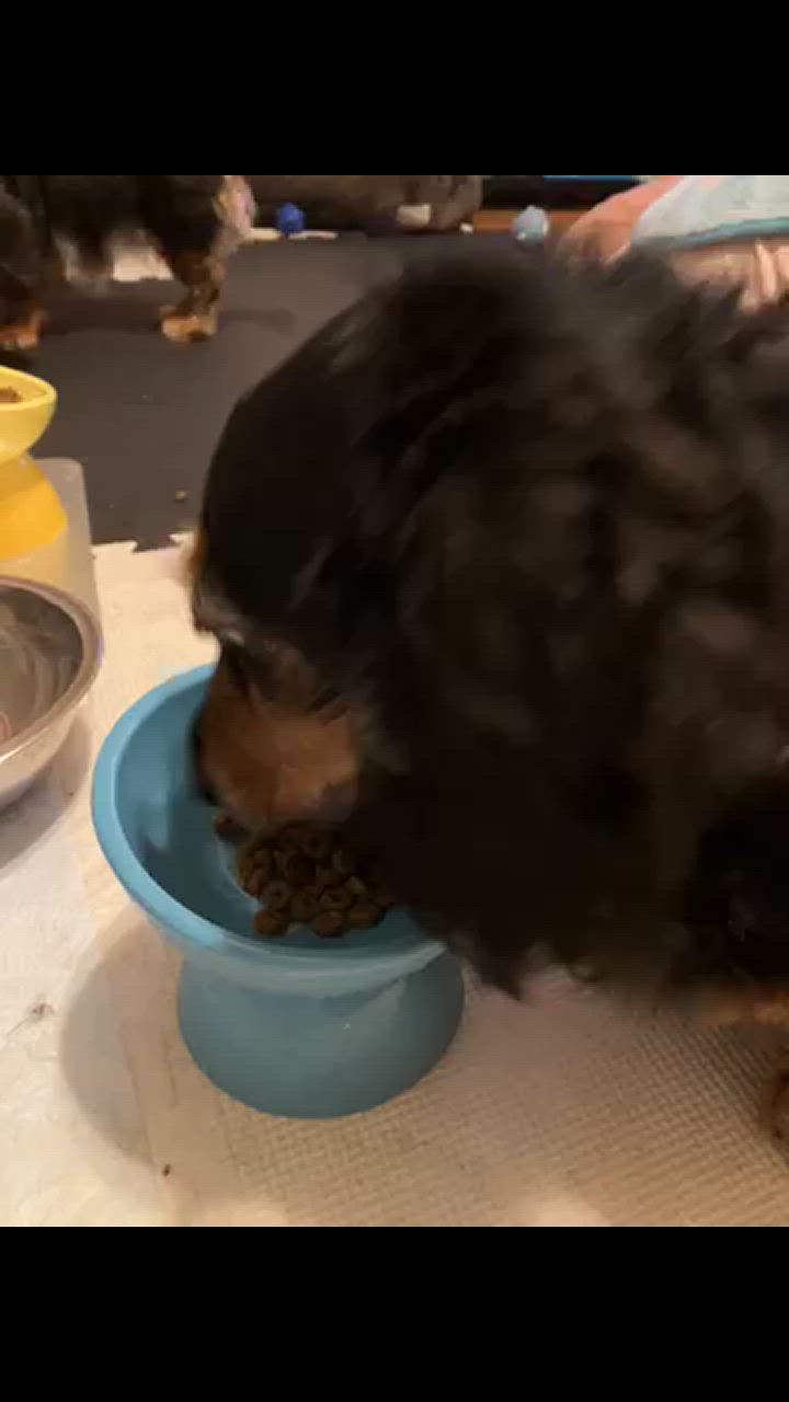 1件目のレビュー動画のサムネイル | 0