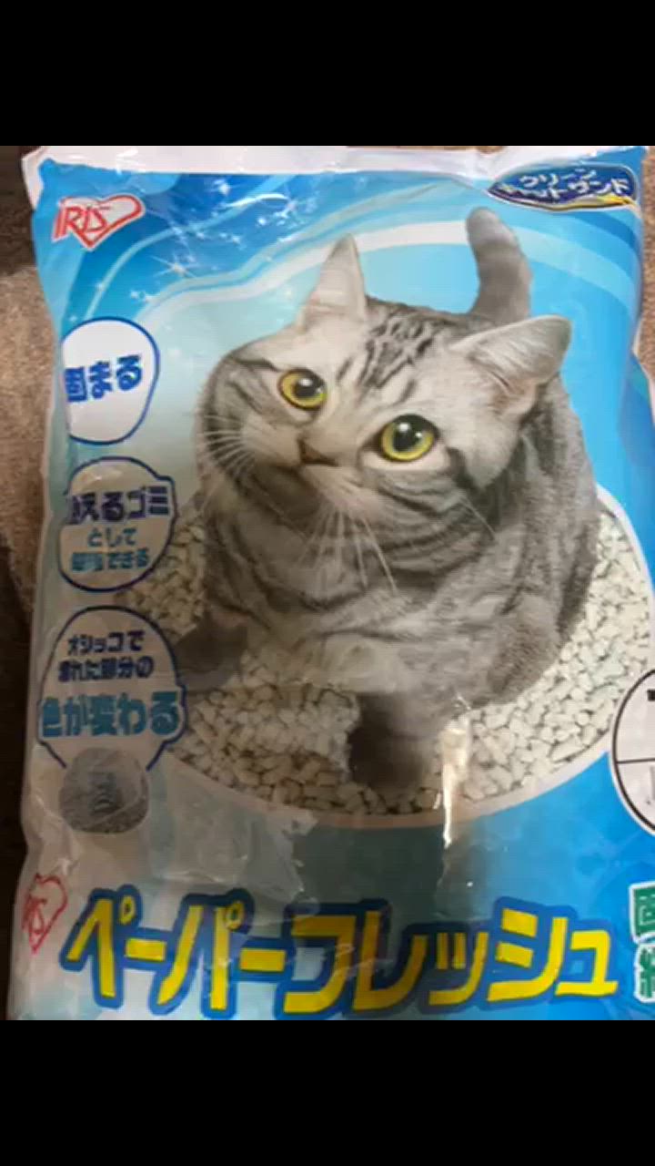 全体のレビュー動画のサムネイル | 8