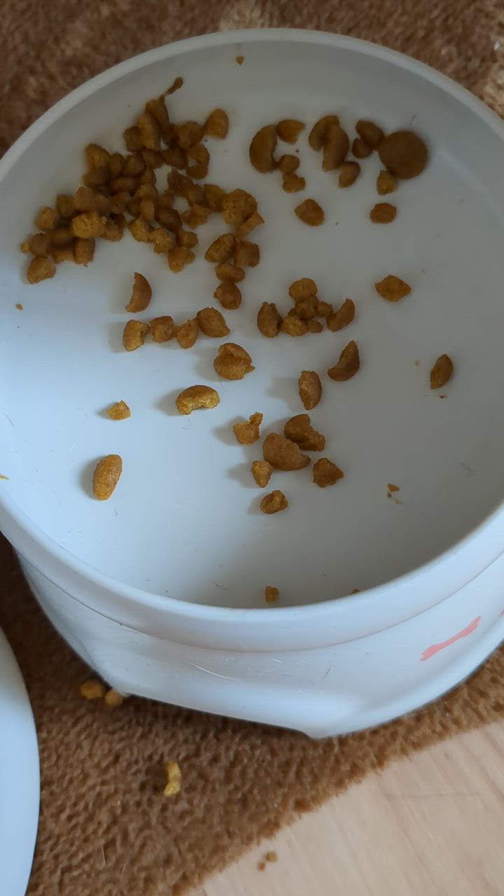 全体のレビュー動画のサムネイル | 4