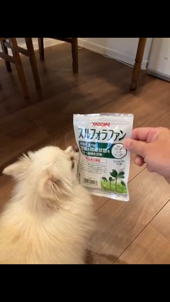 全体のレビュー動画のサムネイル | 4
