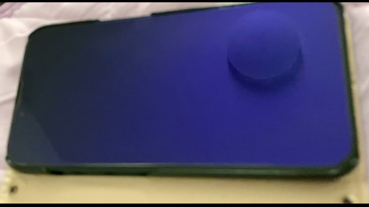 全体のレビュー動画のサムネイル | 16