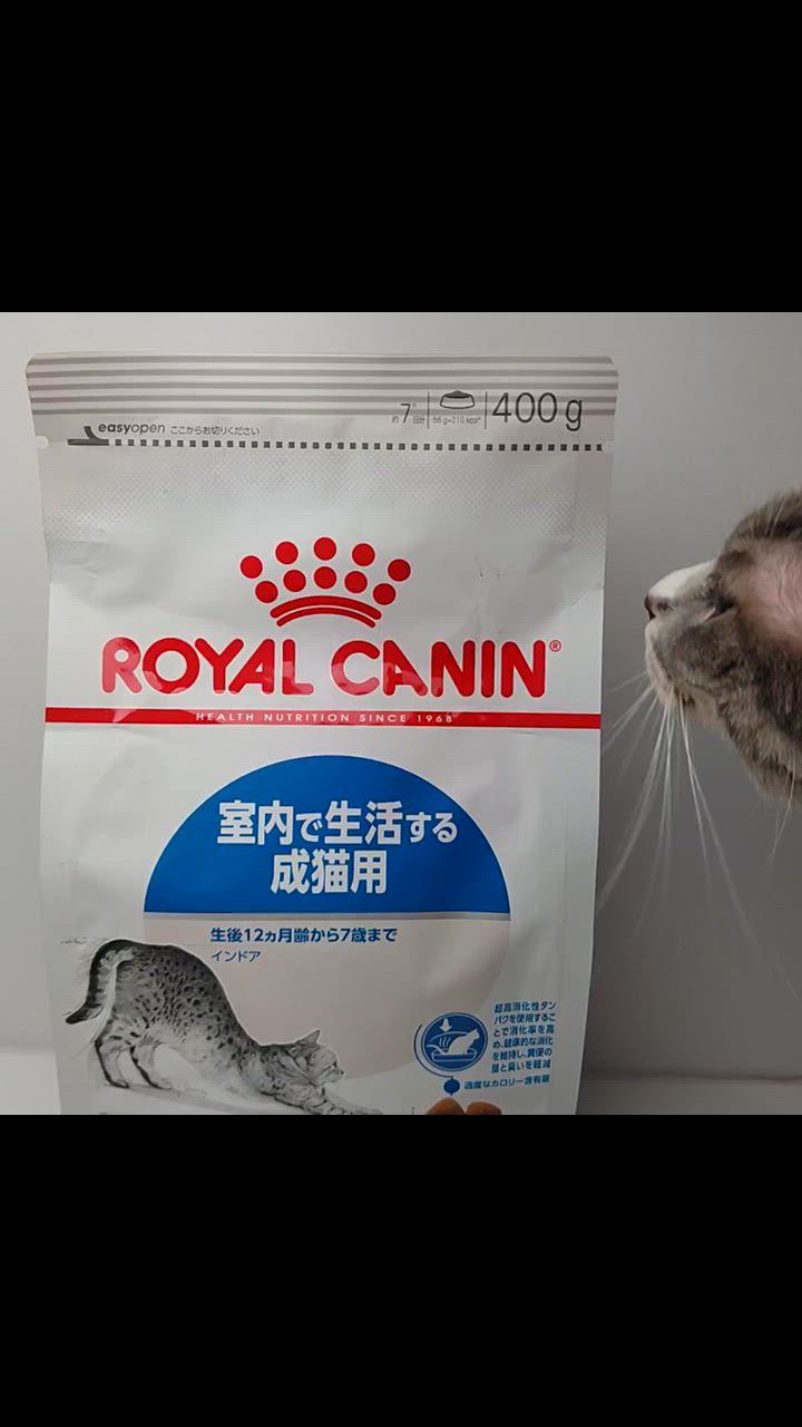 全体のレビュー動画のサムネイル | 0