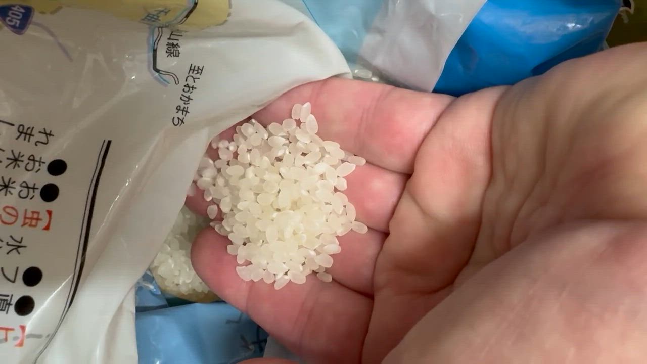 令和6年産 長野県産コシヒカリ10kg（無洗米） : JA大北ネット