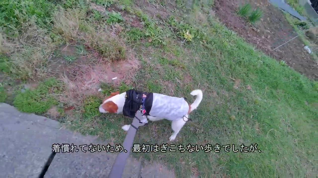 全体のレビュー動画のサムネイル | 3