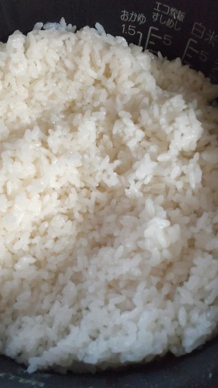 ひとめぼれ 令和6年産 精米 米 宮城県産 20kg ( 5kg×4袋 ひとめぼれ 令和6年産 精米 米 宮城県産 20kg ( 5kg×4袋