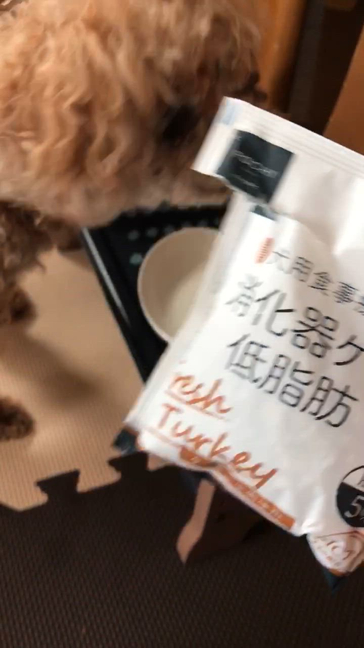 1件目のレビュー動画のサムネイル | 0