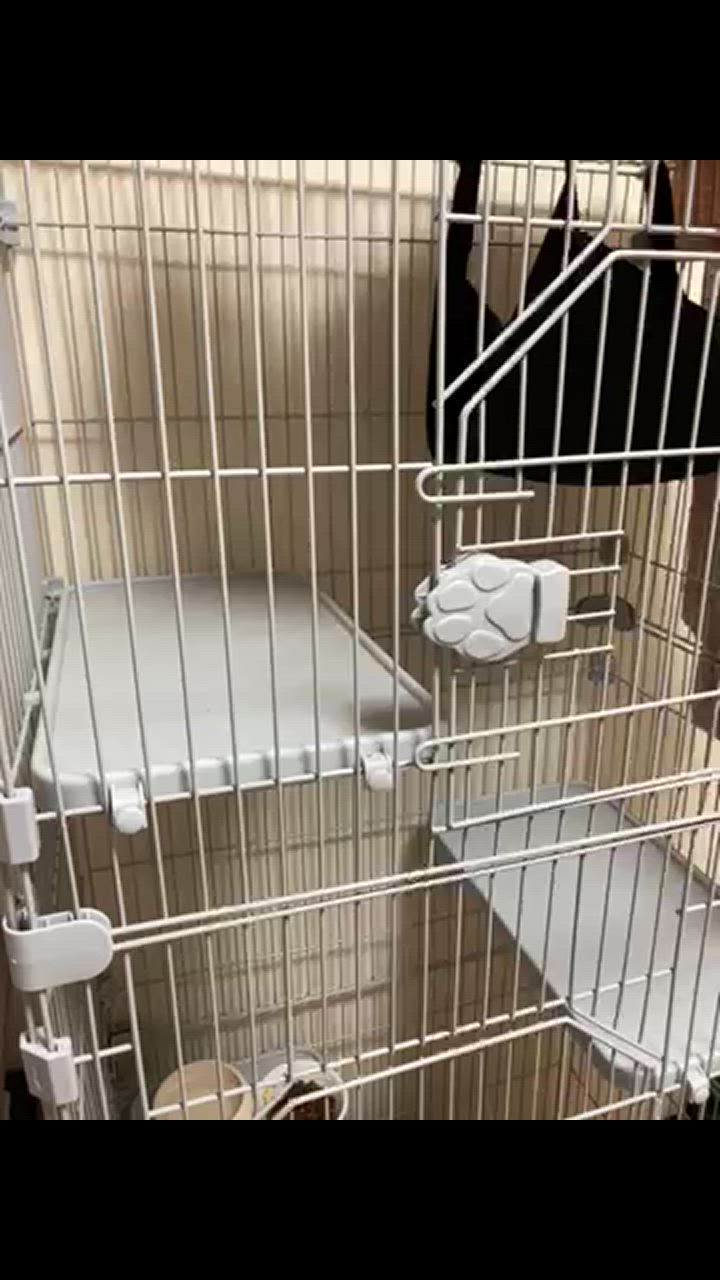 全体のレビュー動画のサムネイル | 0