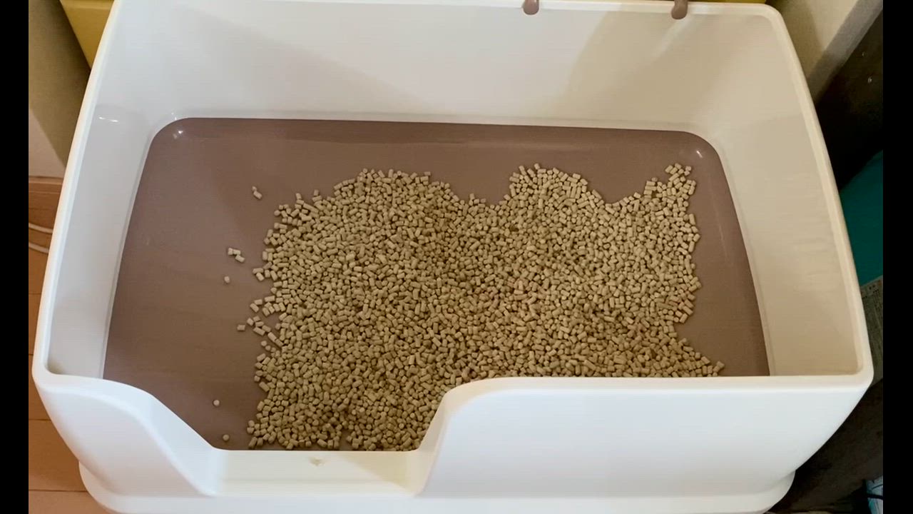 全体のレビュー動画のサムネイル | 2