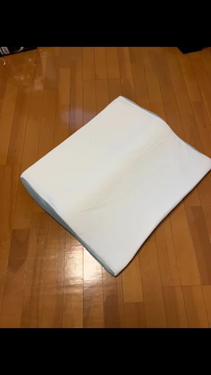 全体のレビュー動画のサムネイル | 1