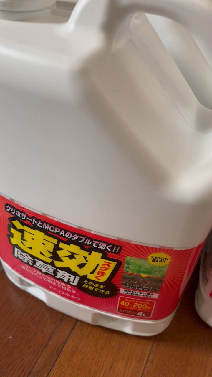 全体のレビュー動画のサムネイル | 5