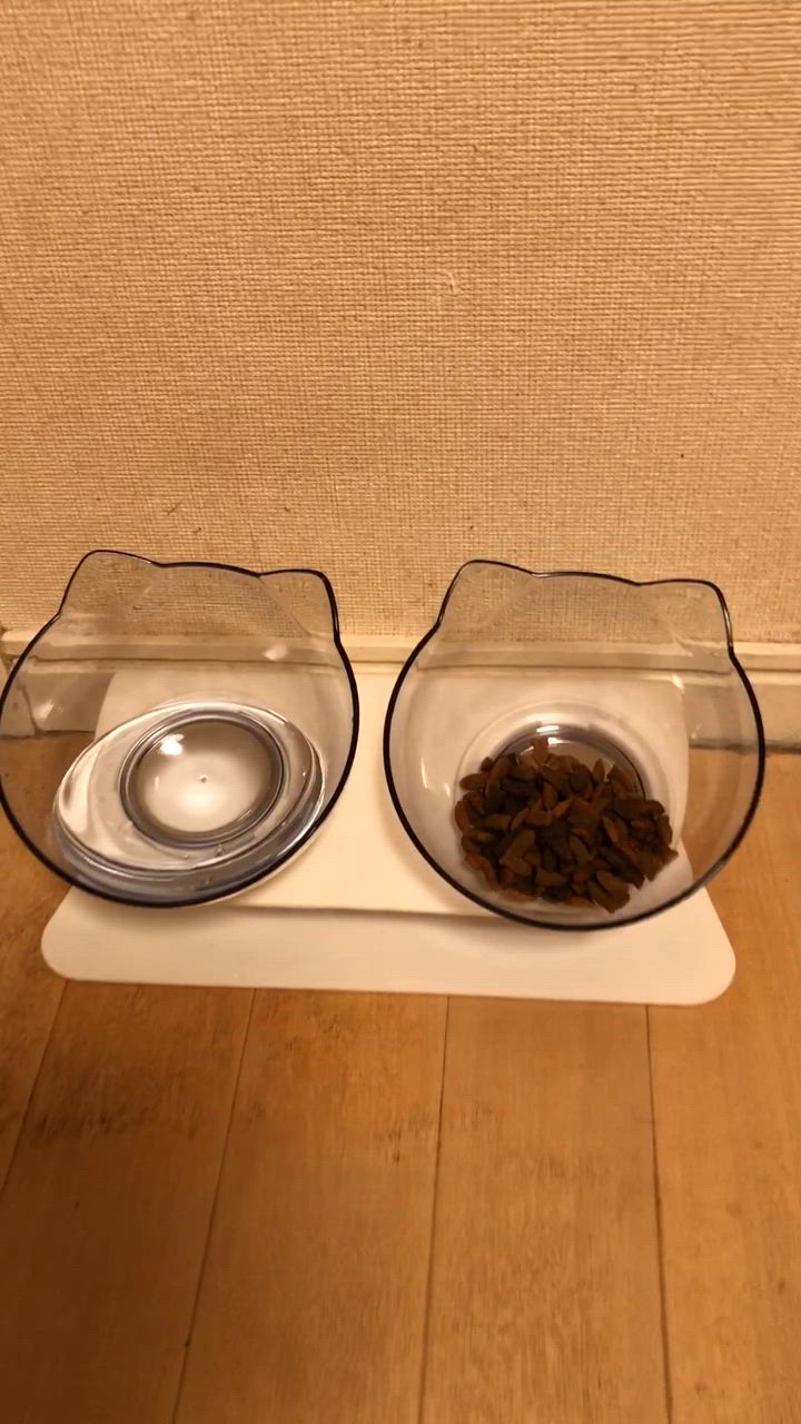 全体のレビュー動画のサムネイル | 0