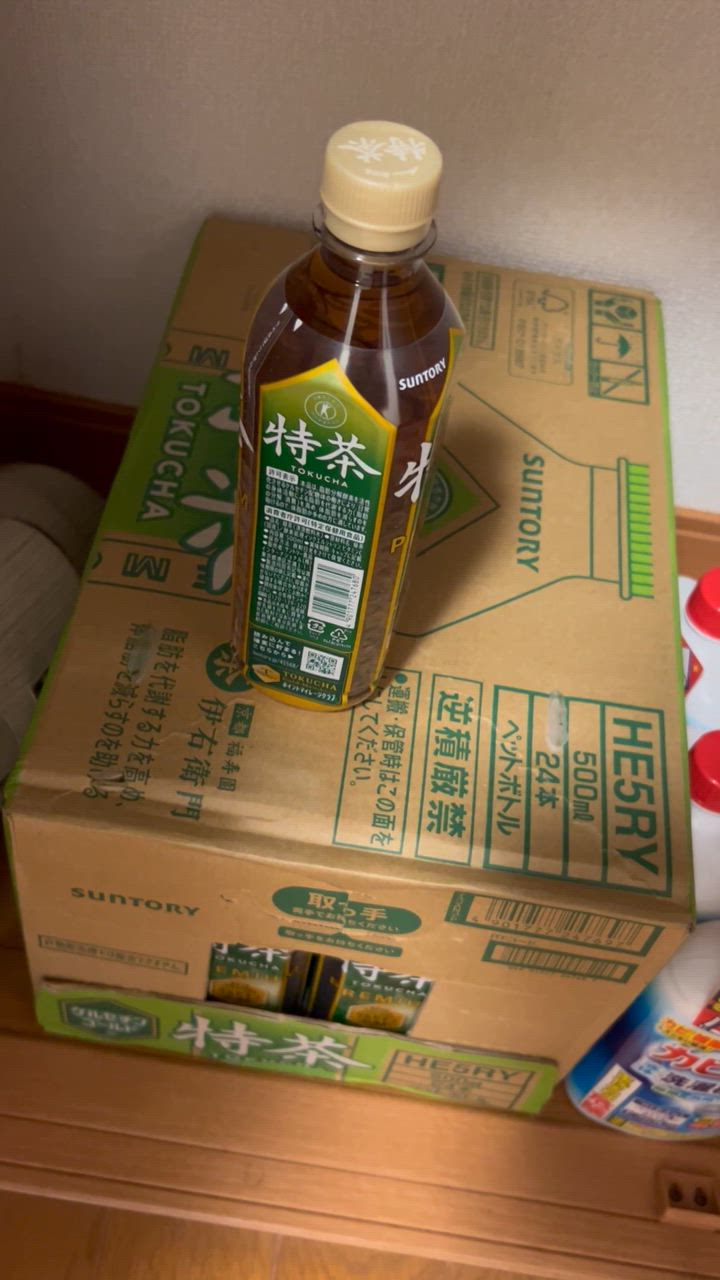 特茶 サントリー 伊右衛門 緑茶 500ml 48本 2ケース 特茶s 特定