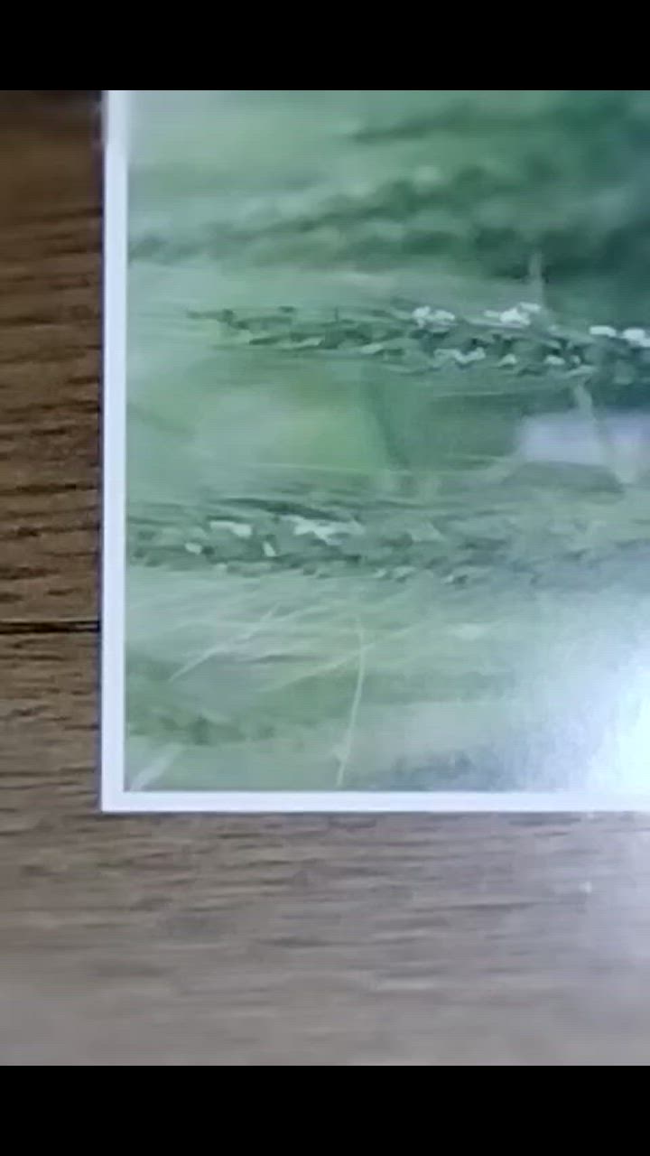 全体のレビュー動画のサムネイル | 2