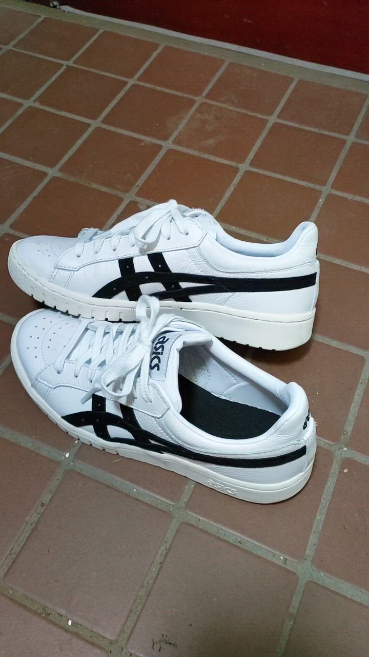 ASICS アシックス スニーカー メンズ レディース 1201A523