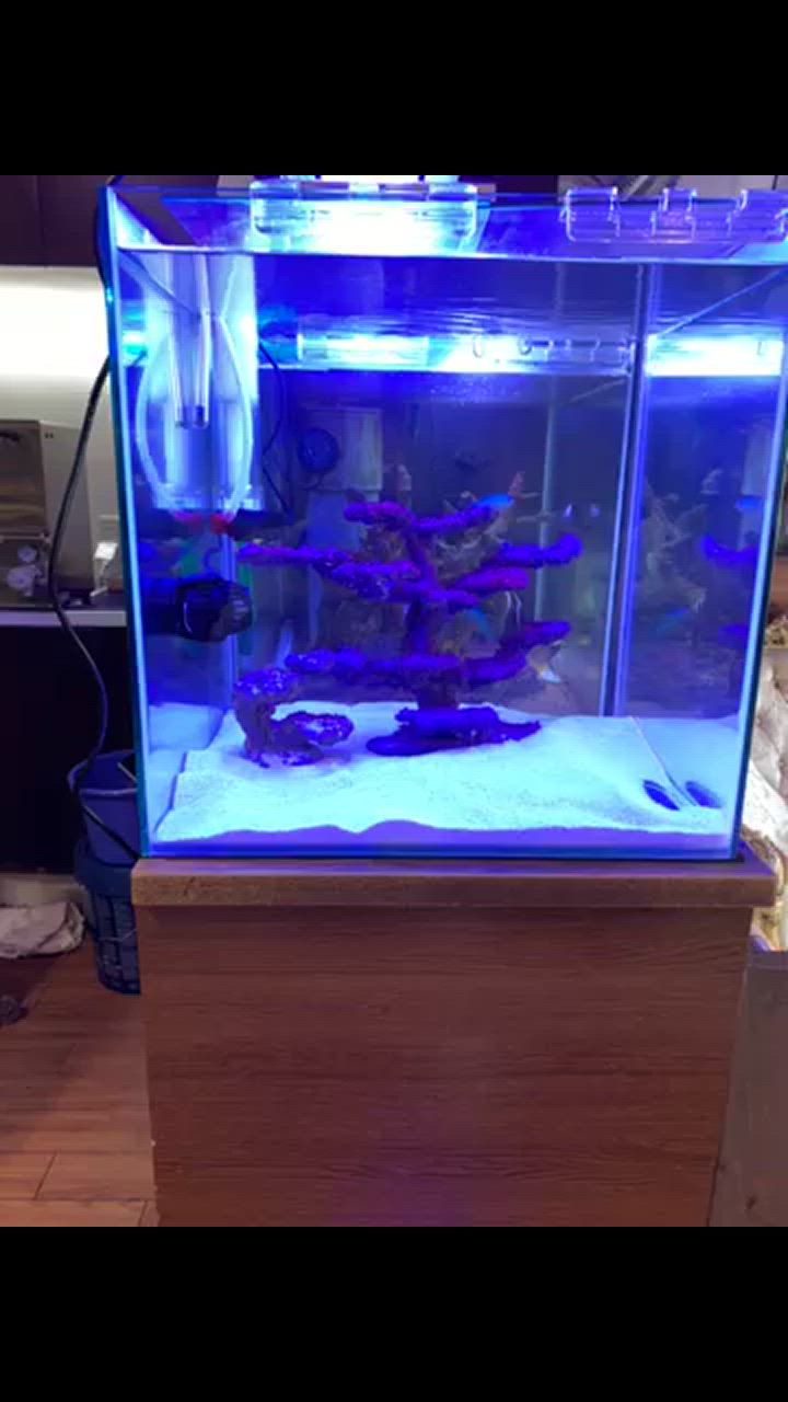 MICMOL AIR PRO900 112W LED照明 90cm-110cm! 海水魚・サンゴ用【LED照明】(t178 : c-5010 :  アクアギフト - 通販 - Yahoo!ショッピング