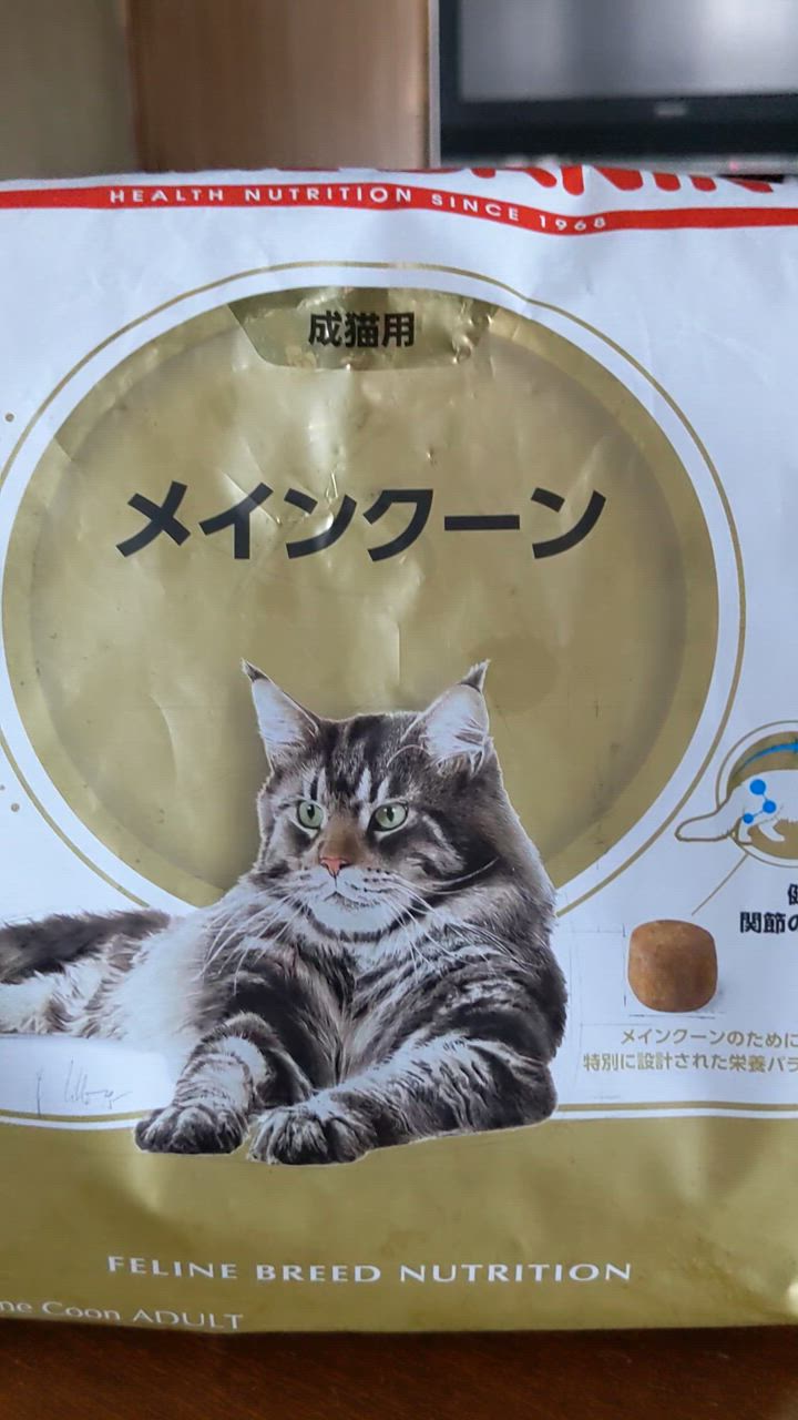 2kg×2袋】ロイヤルカナン メインクーン (猫・キャット)[正規品] : set0382ro : スイートペットYahoo!店 - 通販 -  Yahoo!ショッピング