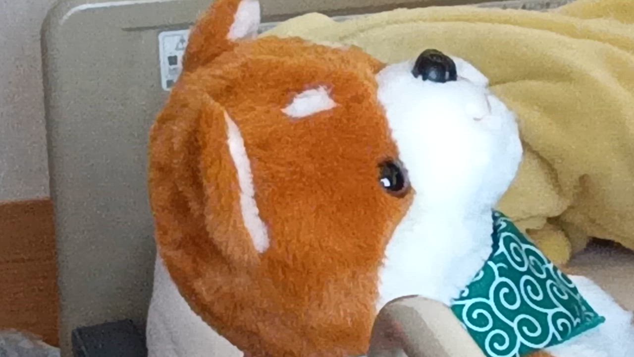 全体のレビュー動画のサムネイル | 0