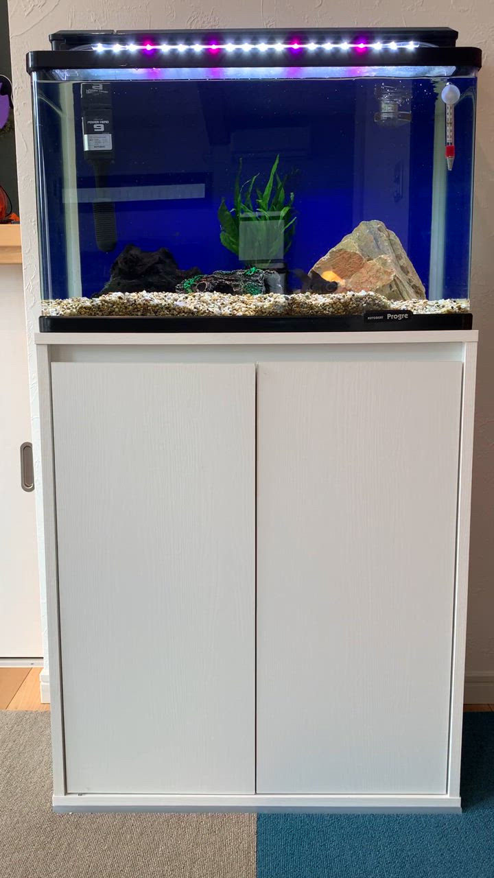 ジェックス アクアラックウッド ６００ＷＨ ６０cm 水槽台 アクアラック ウッド 600BK | ジェックス株式会社