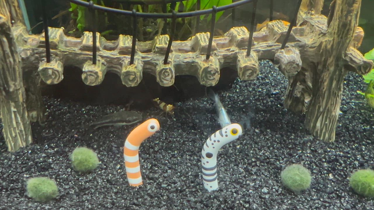 全体のレビュー動画のサムネイル | 0