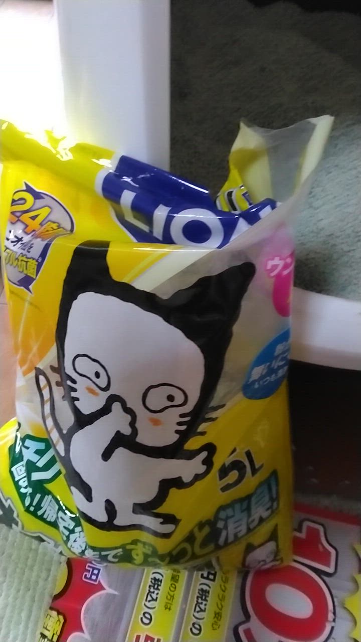 全体のレビュー動画のサムネイル | 16