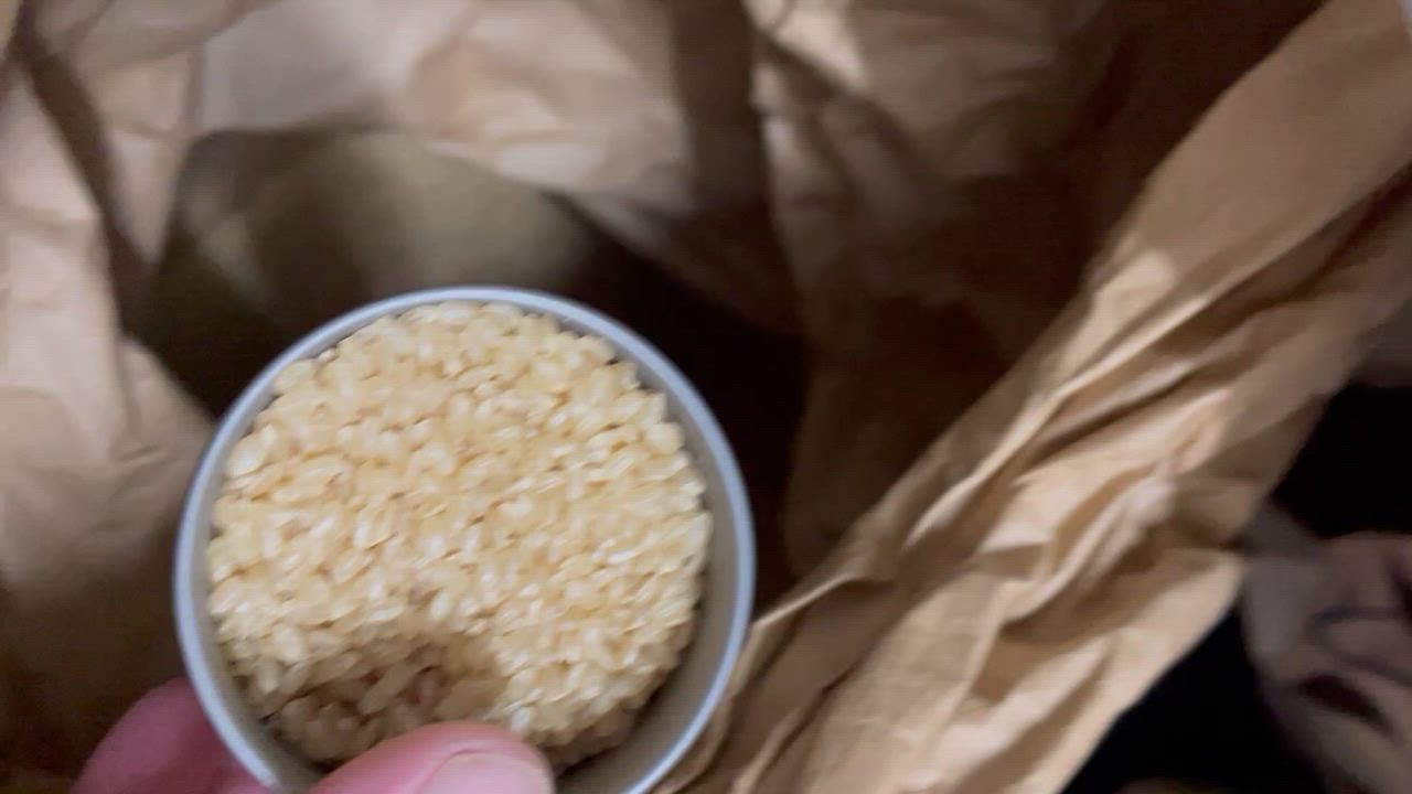 かれきにみず 広島米 20kg 楽天市場】新米 予約 米 白米 玄米 20kg 送料無料 コシヒカリ