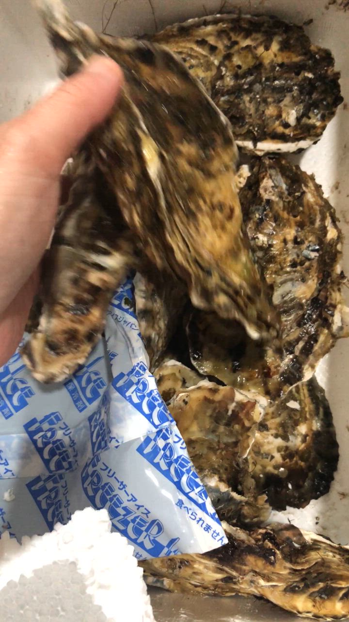 1件目のレビュー動画のサムネイル | 0