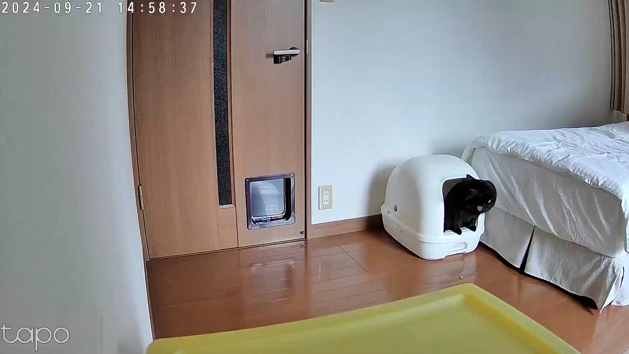 全体のレビュー動画のサムネイル | 0
