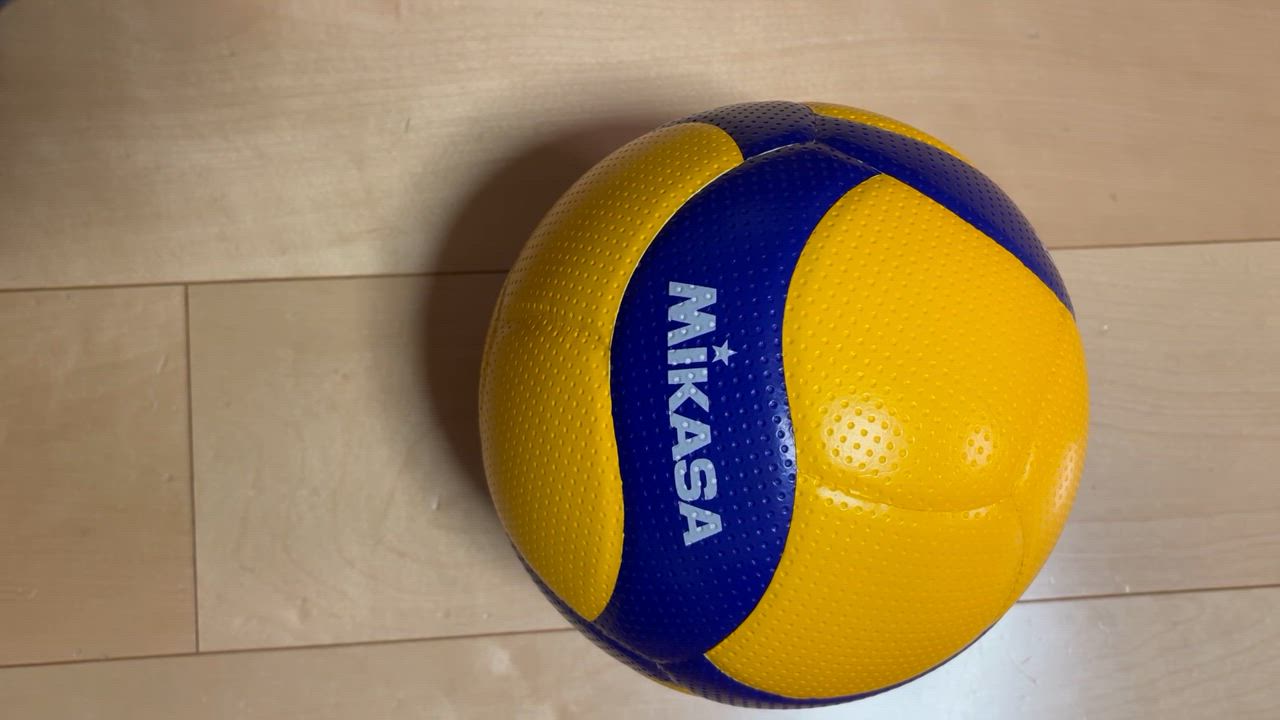 ミカサ(MIKASA) バレーボール 軽量4号 日本バレーボール協会検定
