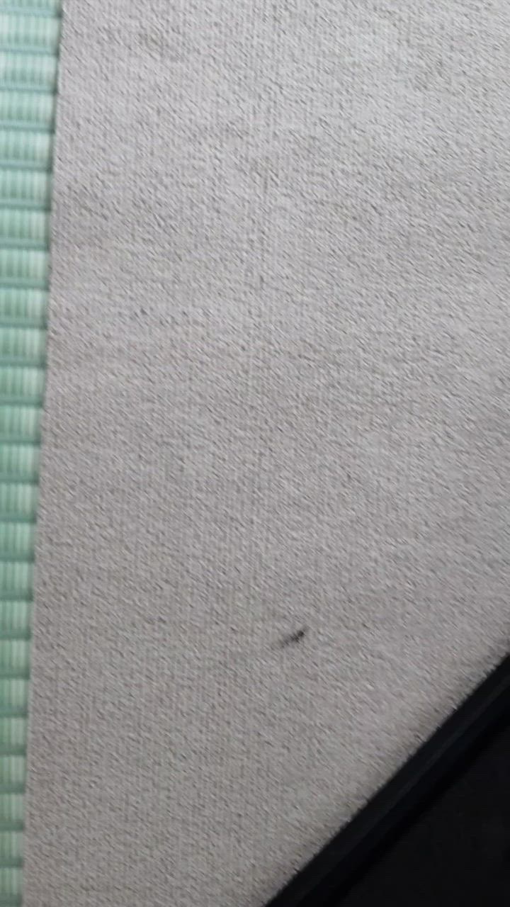 全体のレビュー動画のサムネイル | 3