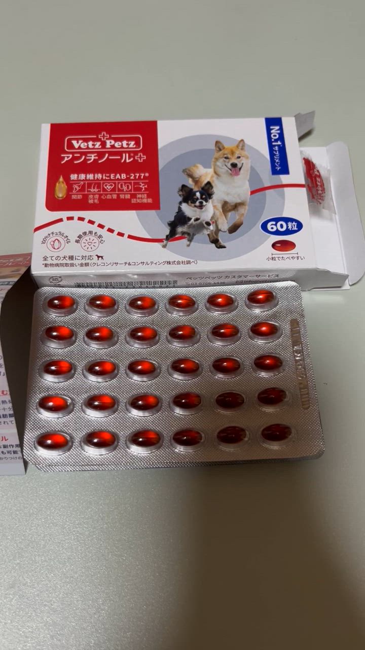 アンチノール プラス 60粒 公式 ベッツペッツ 犬 犬用 サプリメント サプリ 関節 DHA EPA 皮膚 腎臓 神経 高齢 シニアケア  モエギイガイ : 01u5h000000xuxqaau : アンチノール公式ベッツペッツショップ - 通販 - Yahoo!ショッピング