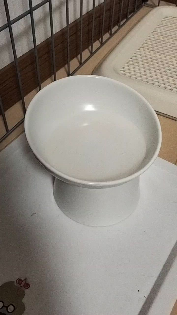 全体のレビュー動画のサムネイル | 1