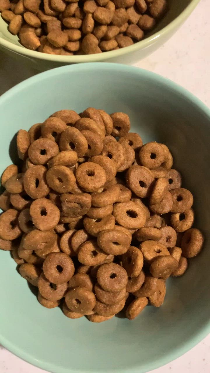 全体のレビュー動画のサムネイル | 2