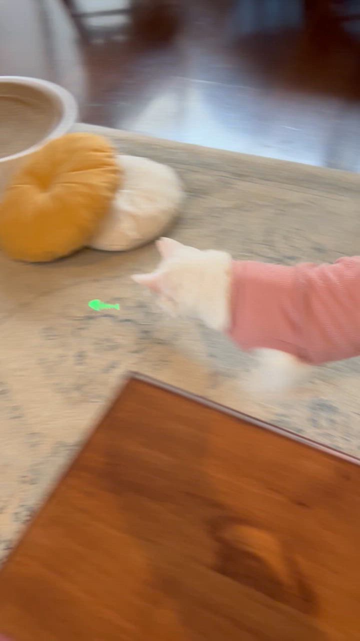 全体のレビュー動画のサムネイル | 5