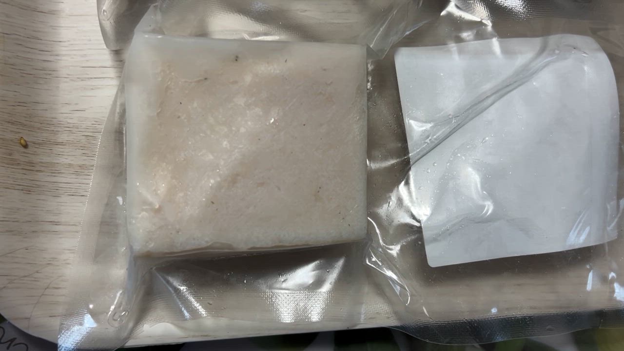 くじらさん専用 楽天市場】くじらのトムさん 4号鉢 : 干支お雛様のせともの市場