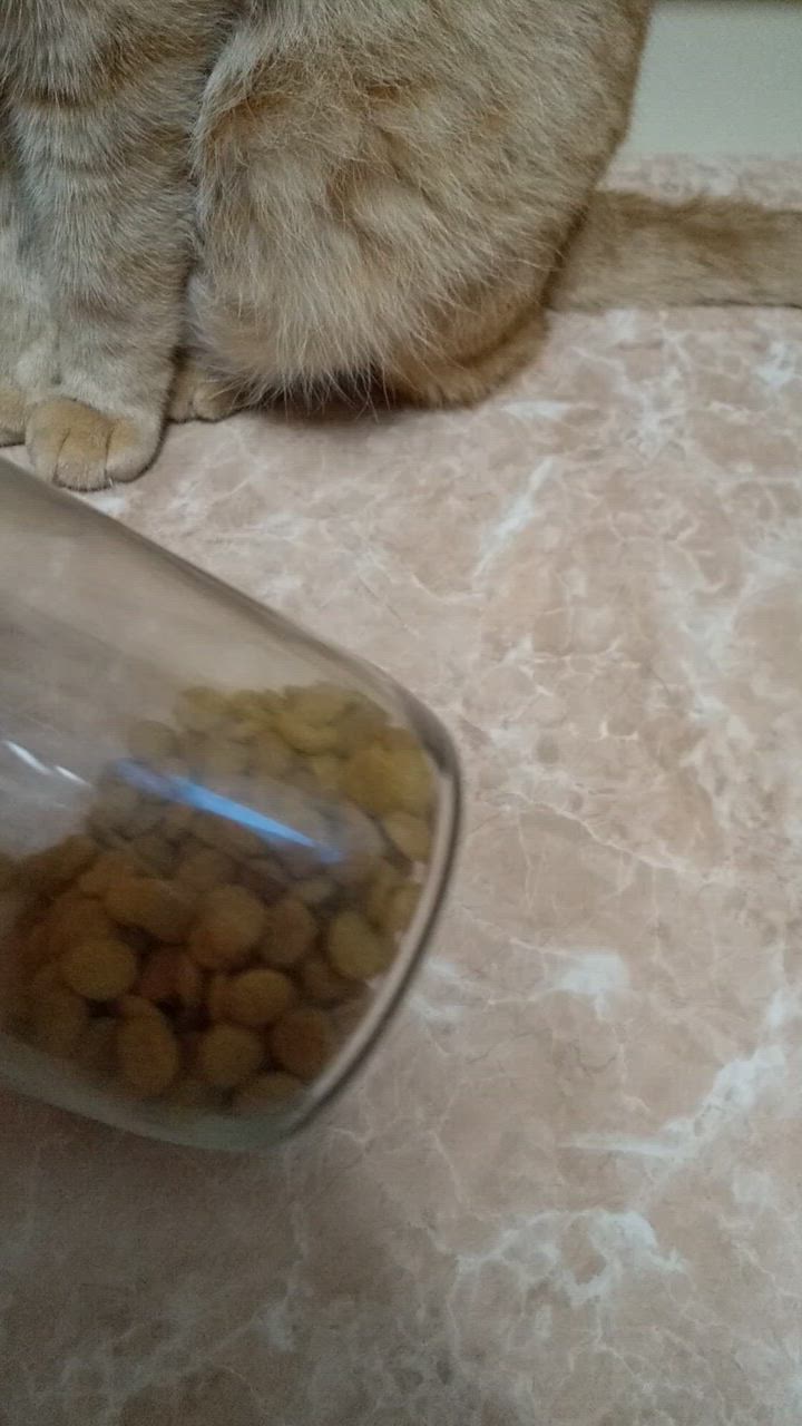 全体のレビュー動画のサムネイル | 2